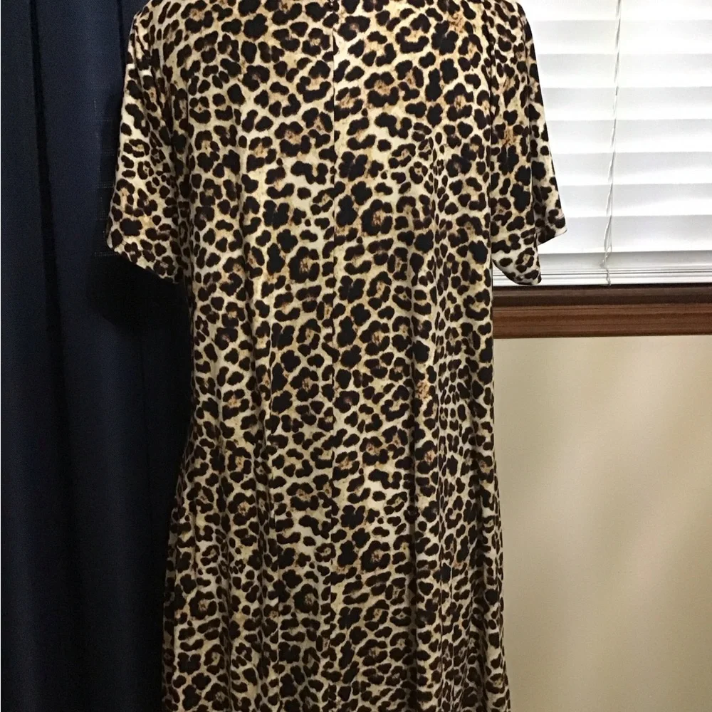 Leopard Print Dress_4